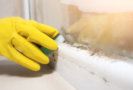 Como eliminar las humedades en una vivienda