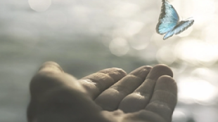 Seguros de decesos Santalucía Seguros de decesos Santalucía